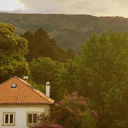 Casa Das Essencias, Quinta De Santo Antonio Covilhã Εξωτερικό φωτογραφία